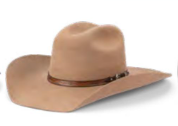 Avenel - The Reiner Beaver Fur Felt western Hat